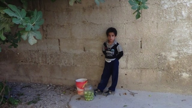 : Syrian Children Are Eating Leaves to Survive 