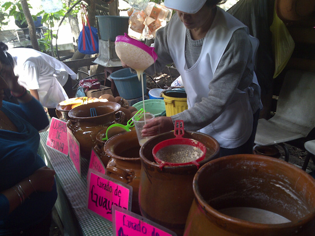 The Enigma of Pulque